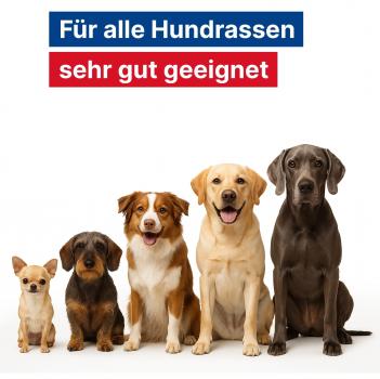 Preview: GladiatorPLUS Hund - die Milieufütterung
